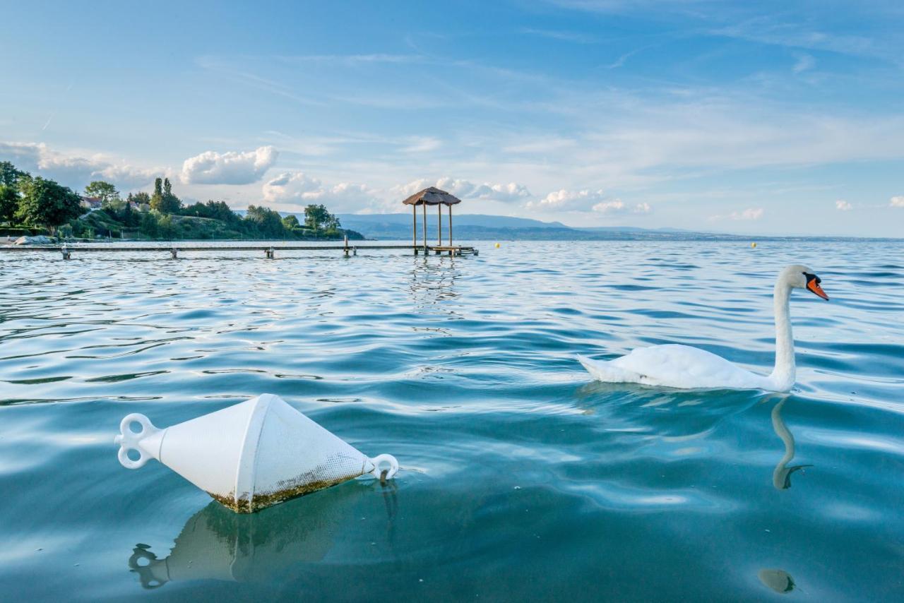 Hotel De La Plage เอ็กเซเนเวกซ์ ภายนอก รูปภาพ